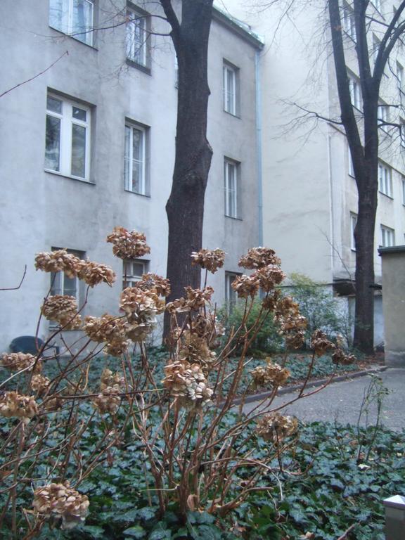 Vienna Top Comfort Apartment المظهر الخارجي الصورة